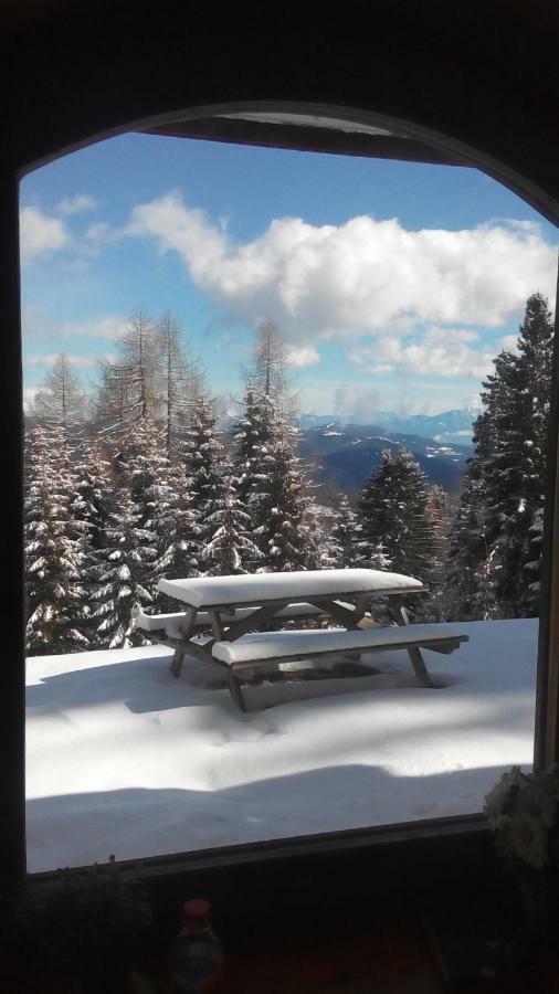 Villa-Alpenblick Hochrindl Bagian luar foto