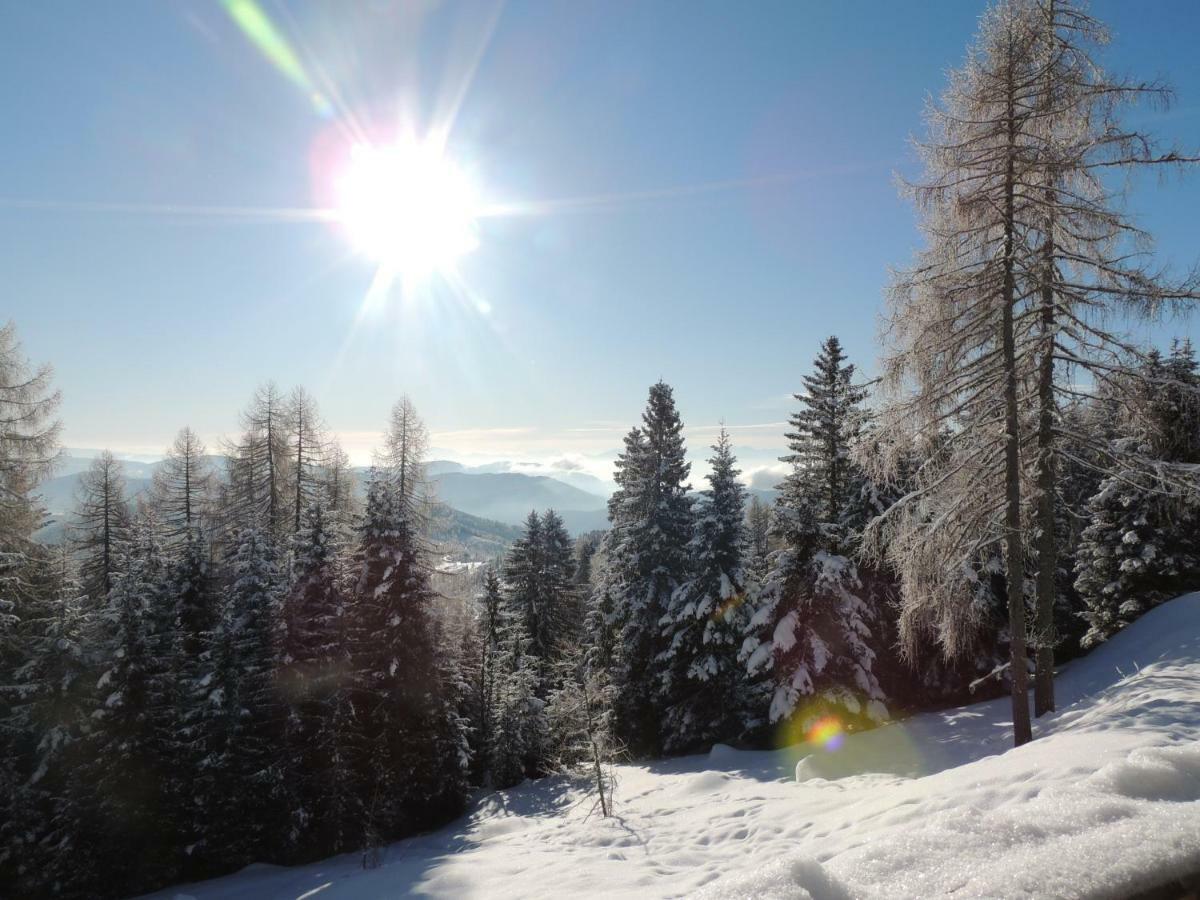 Villa-Alpenblick Hochrindl Bagian luar foto